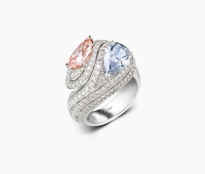 El anillo infinite motion, 2017